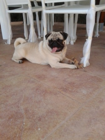 "MINI MEGGI" de perfil