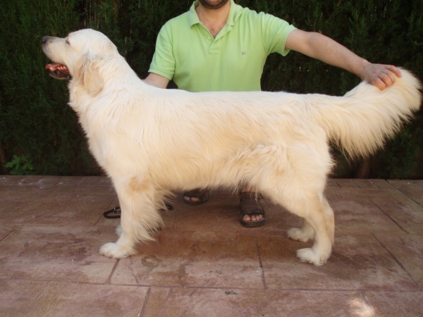 ARENA de perfil ARENA de perfil