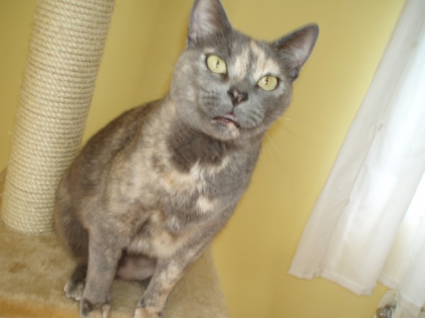 "Sucu" para los amigos