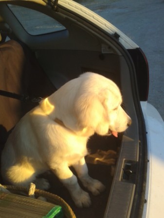 Gustavo en la playa Gustavo en la playa