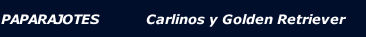PAPARAJOTES            Carlinos y Golden Retriever